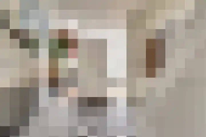 Azaleastraat 10 Stolwijk thumbnail 6