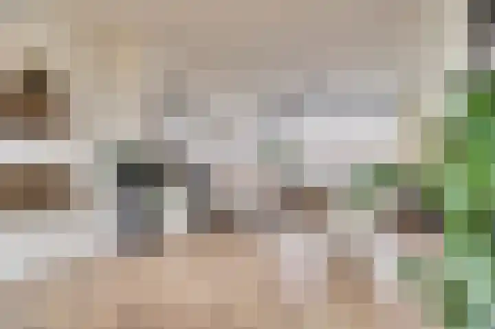 Azaleastraat 10 Stolwijk thumbnail 8