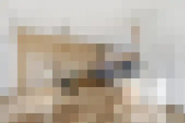 Azaleastraat 11 Alblasserdam thumbnail 11