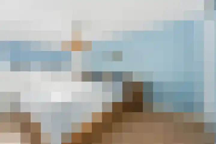 Azaleastraat 11 Alblasserdam thumbnail 18