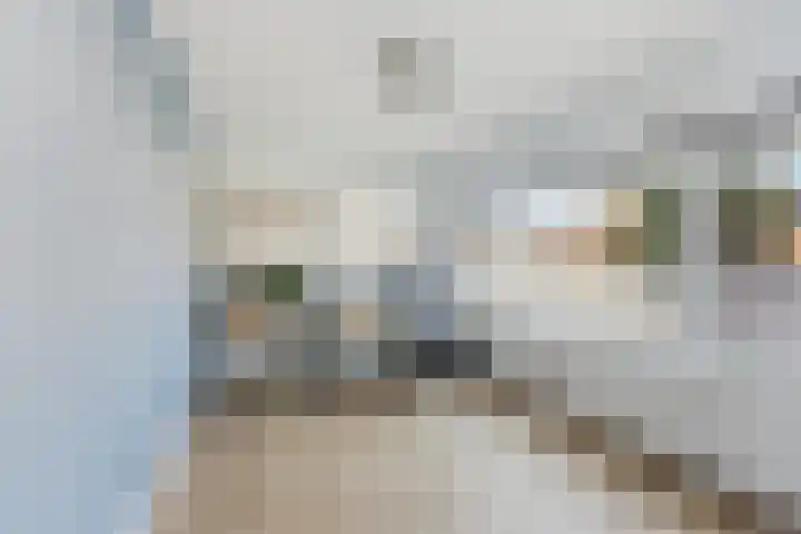 Azaleastraat 11 Alblasserdam thumbnail 23