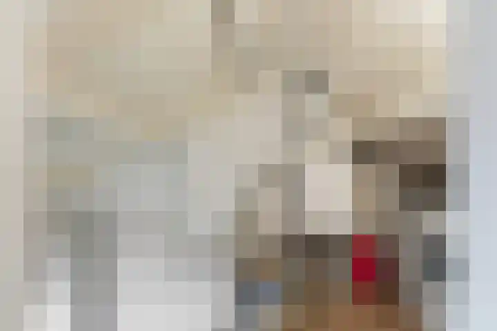 Azaleastraat 11 Alblasserdam thumbnail 27