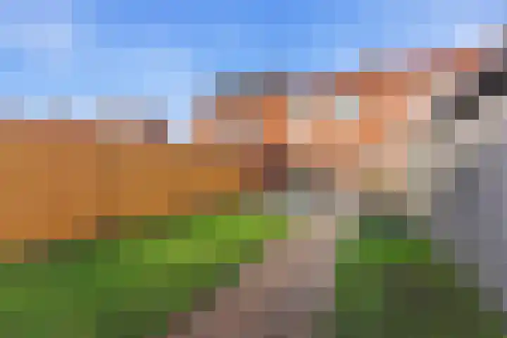 Azaleastraat 11 Alblasserdam thumbnail 32