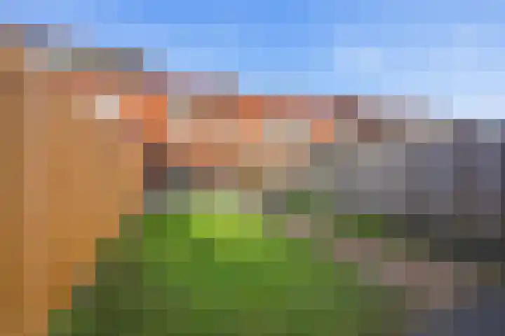 Azaleastraat 11 Alblasserdam thumbnail 33