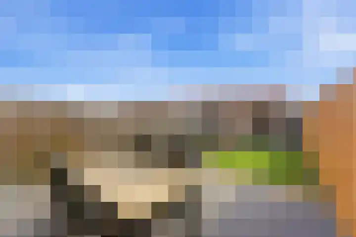 Azaleastraat 11 Alblasserdam thumbnail 34