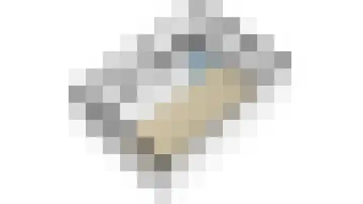Azaleastraat 11 Alblasserdam thumbnail 41