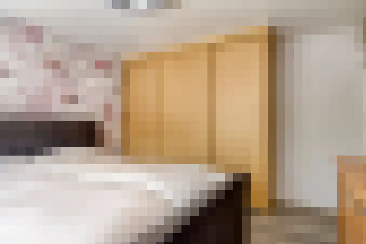 Azaleastraat 11 Hoek thumbnail 17