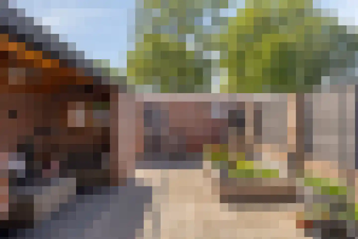 Azaleastraat 11 Hoek thumbnail 25