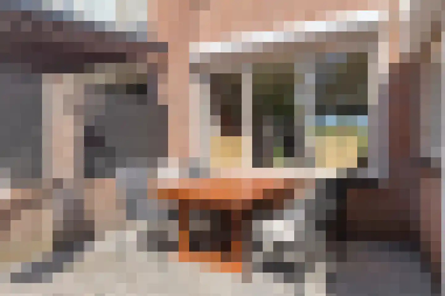 Azaleastraat 11 Hoek thumbnail 30