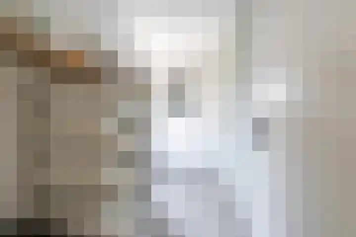 Azaleastraat 11 Lent thumbnail 22