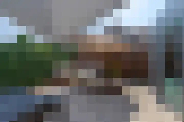 Azaleastraat 11 Lent thumbnail 23
