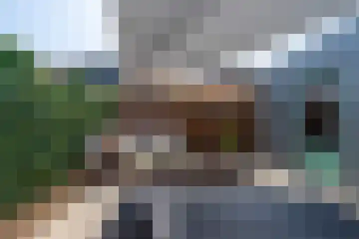 Azaleastraat 11 Lent thumbnail 24