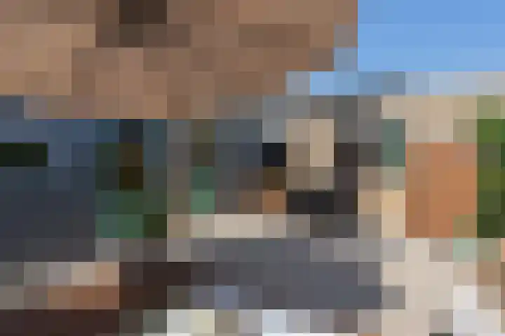 Azaleastraat 11 Lent thumbnail 25