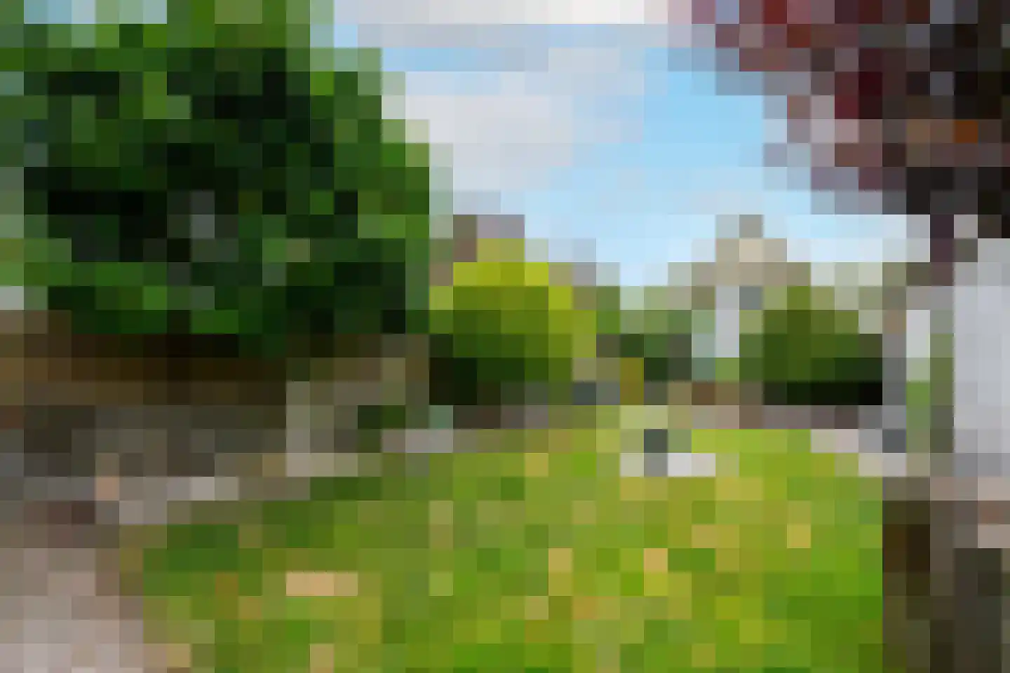 Azaleastraat 11 Wolvega thumbnail 36