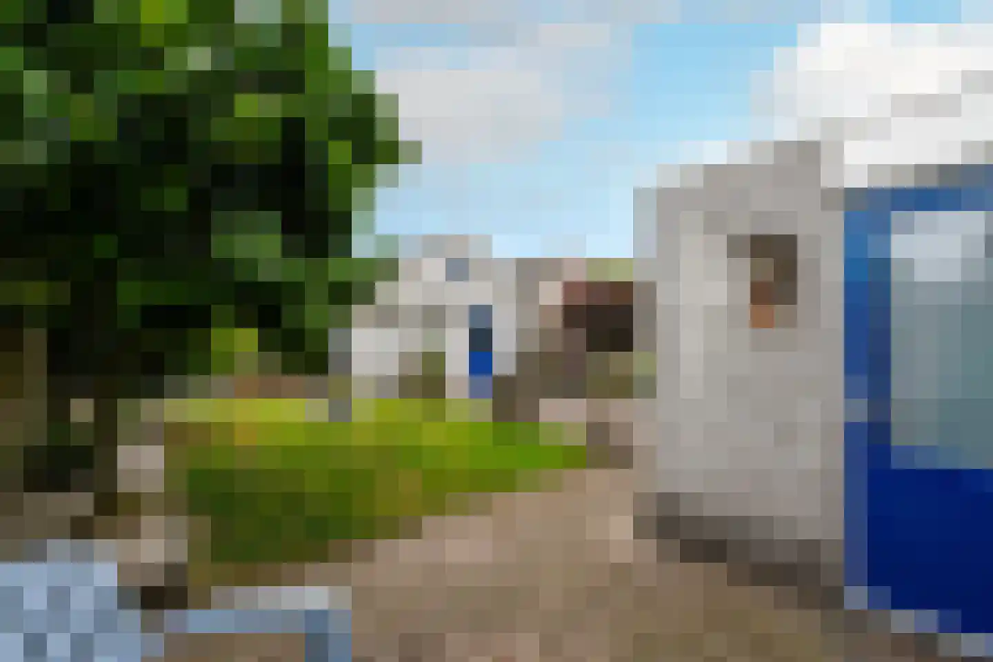 Azaleastraat 11 Wolvega thumbnail 37