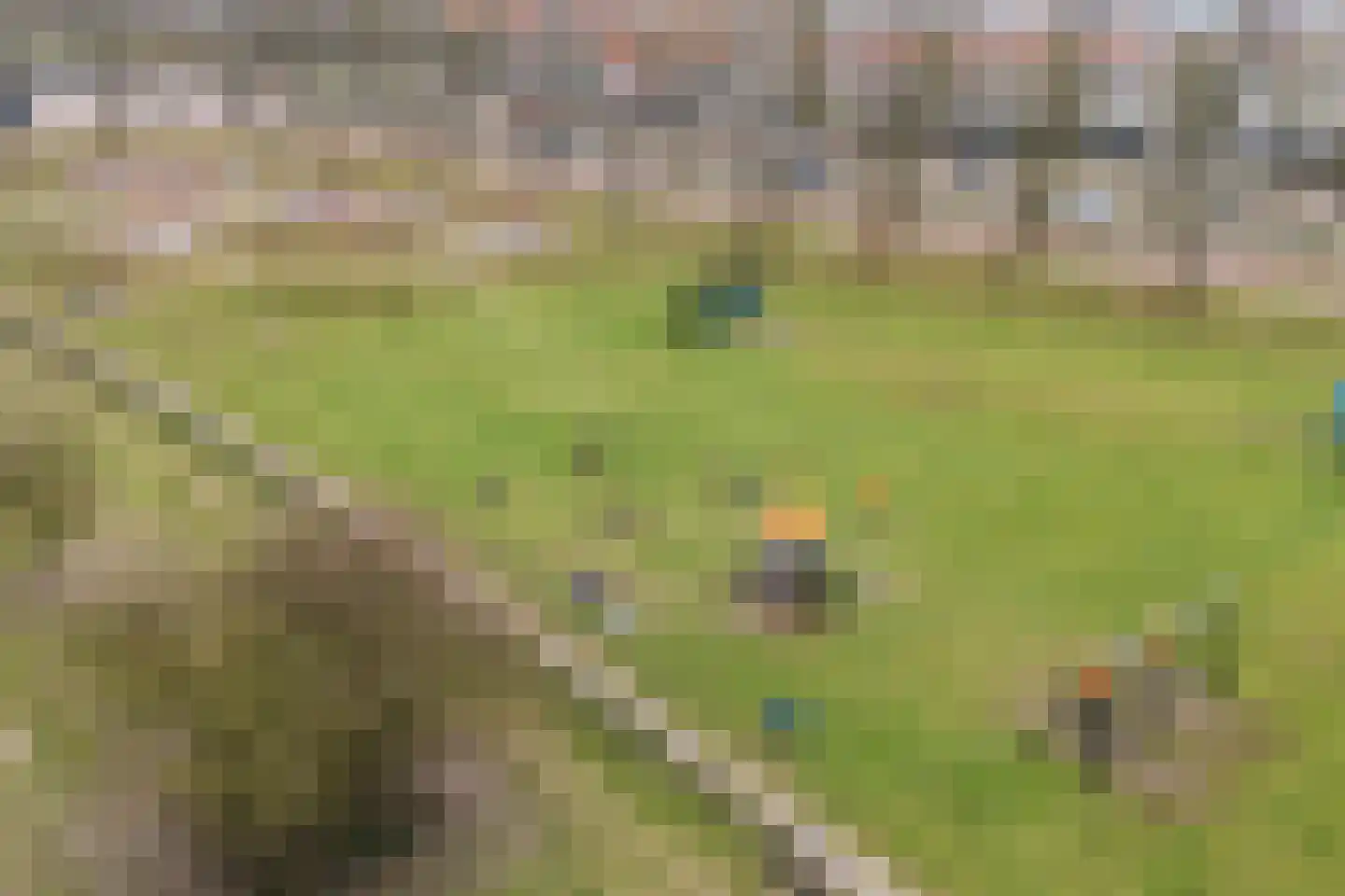 Azaleastraat 114 Leeuwarden thumbnail 64