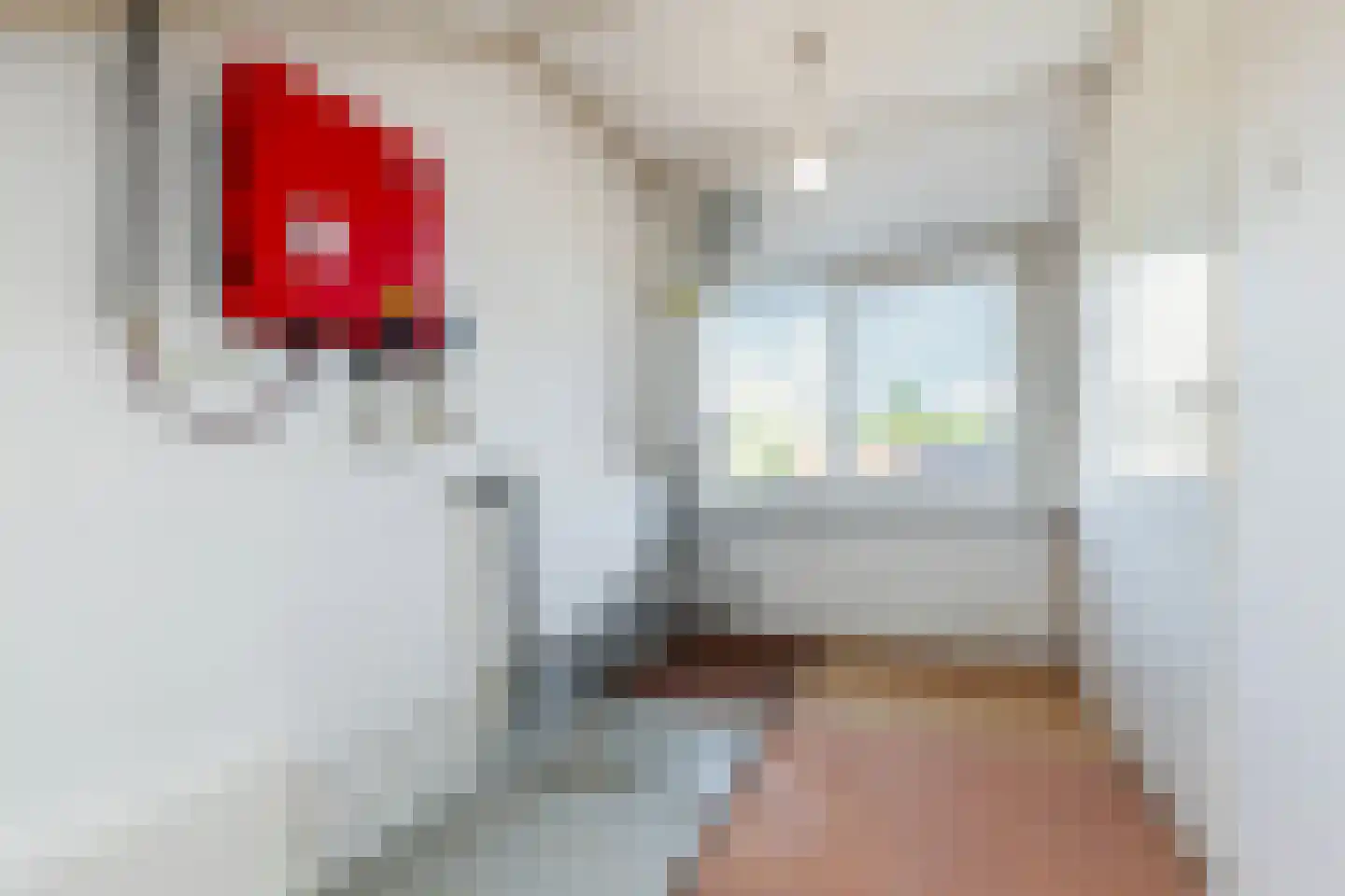 Azaleastraat 12 Alblasserdam thumbnail 21