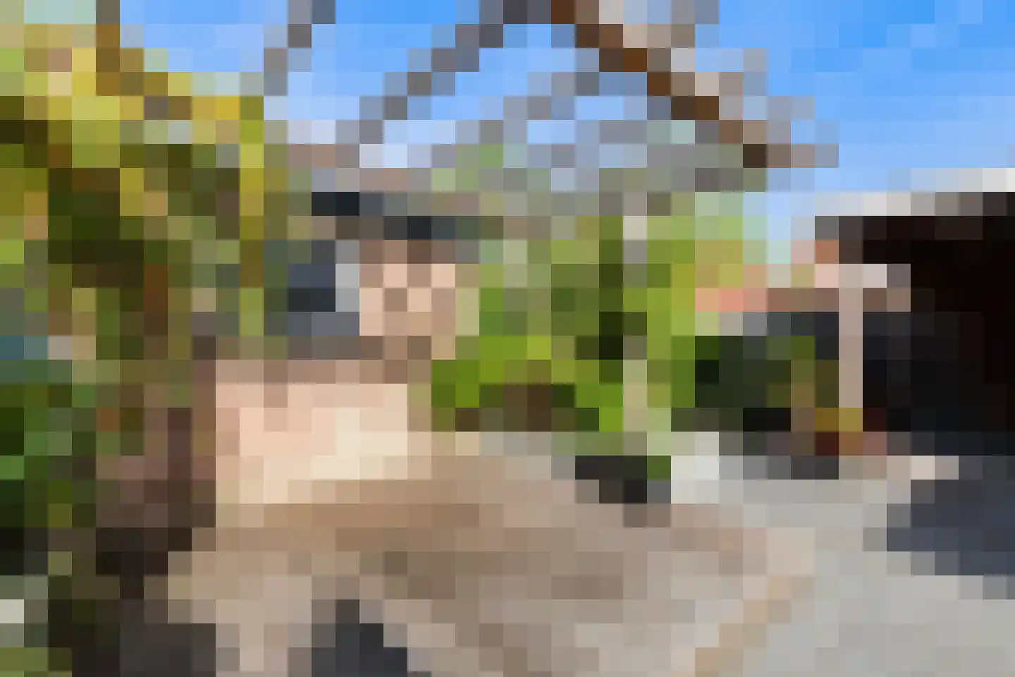 Azaleastraat 12 Alblasserdam thumbnail 30