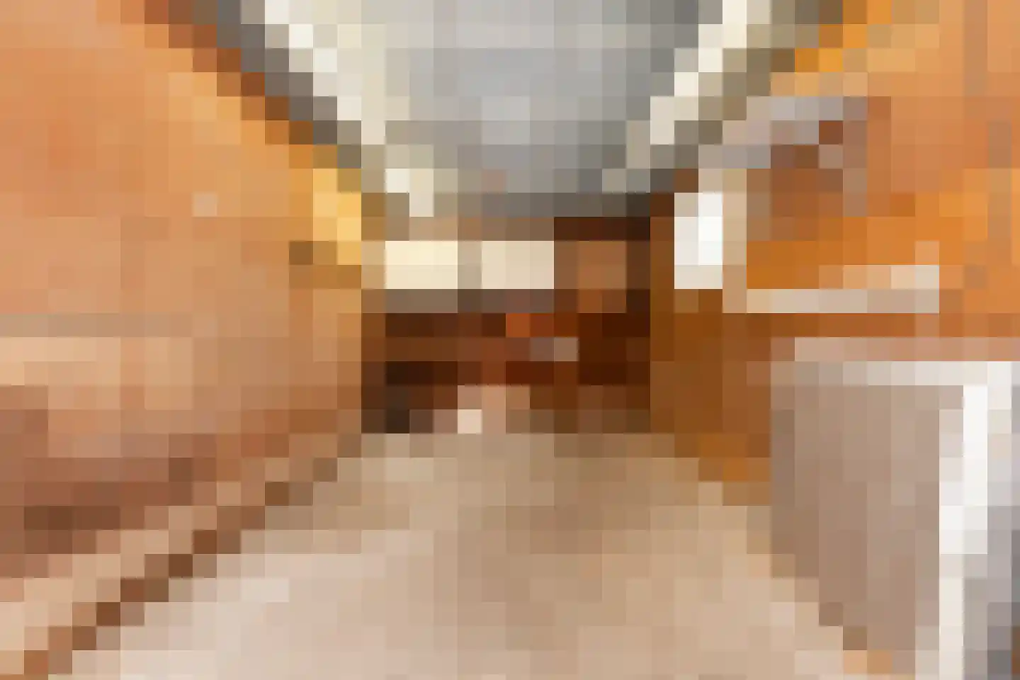 Azaleastraat 12 Alblasserdam thumbnail 35