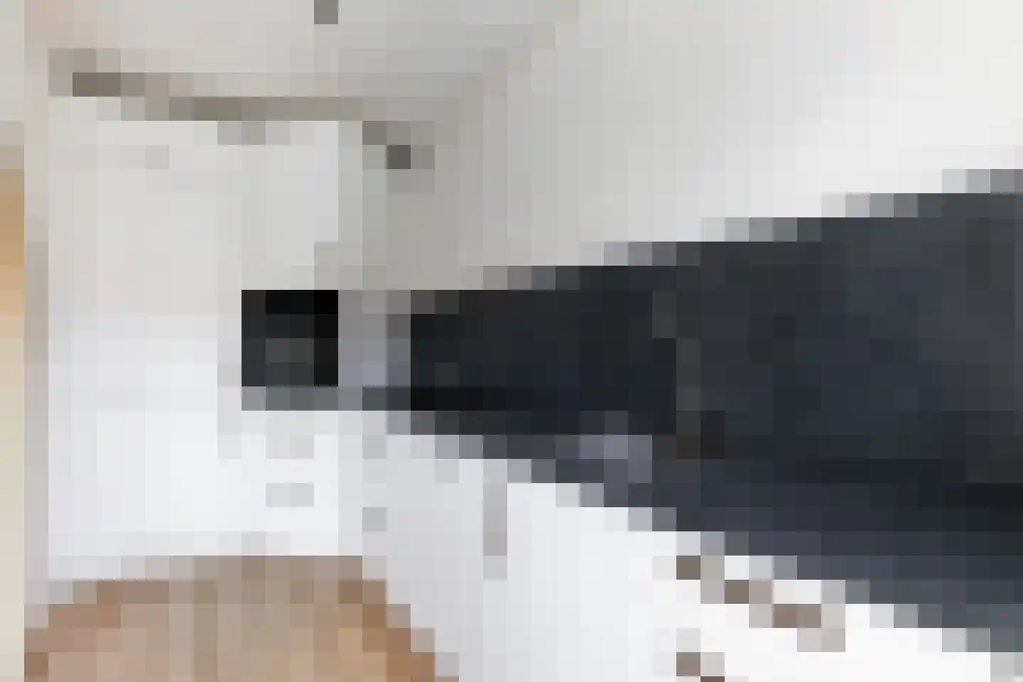 Azaleastraat 12 Alblasserdam thumbnail 8