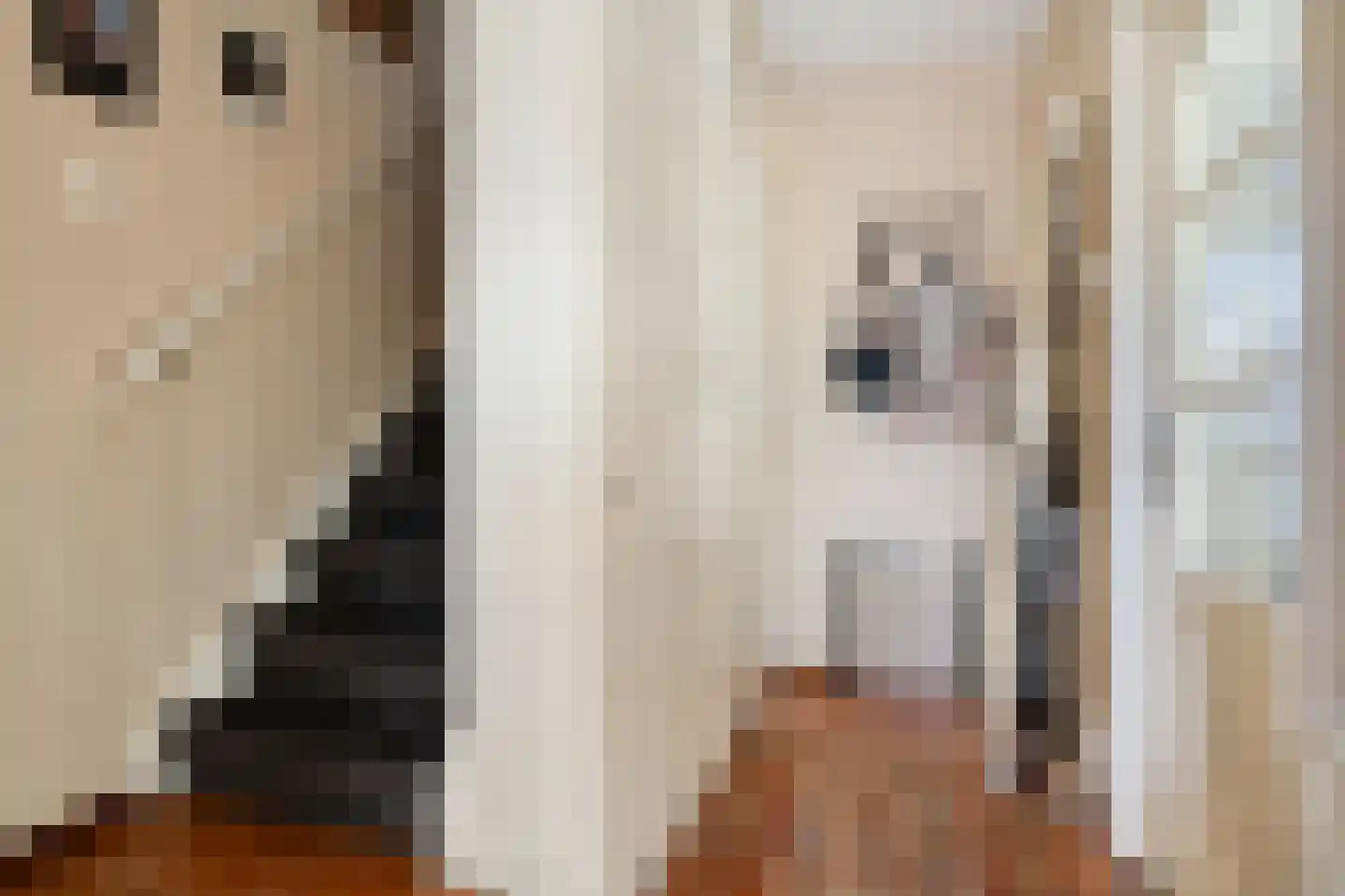 Azaleastraat 12 Sappemeer thumbnail 10