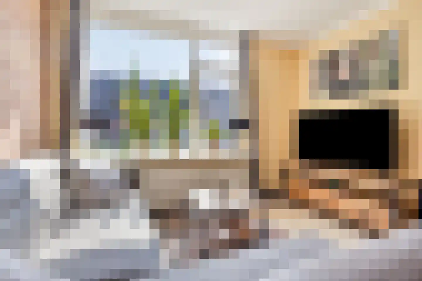 Azaleastraat 12 Sappemeer thumbnail 14