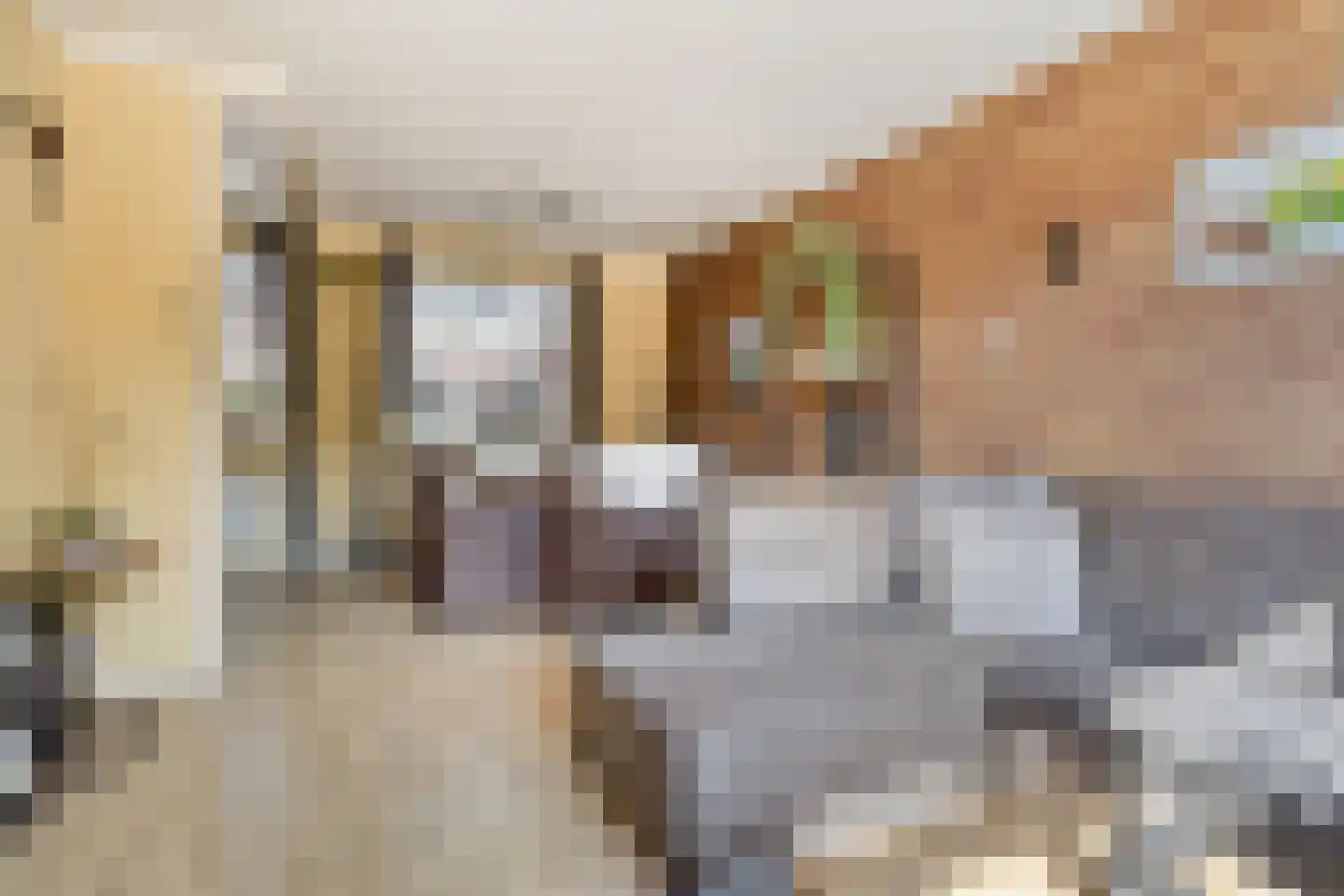 Azaleastraat 12 Sappemeer thumbnail 15