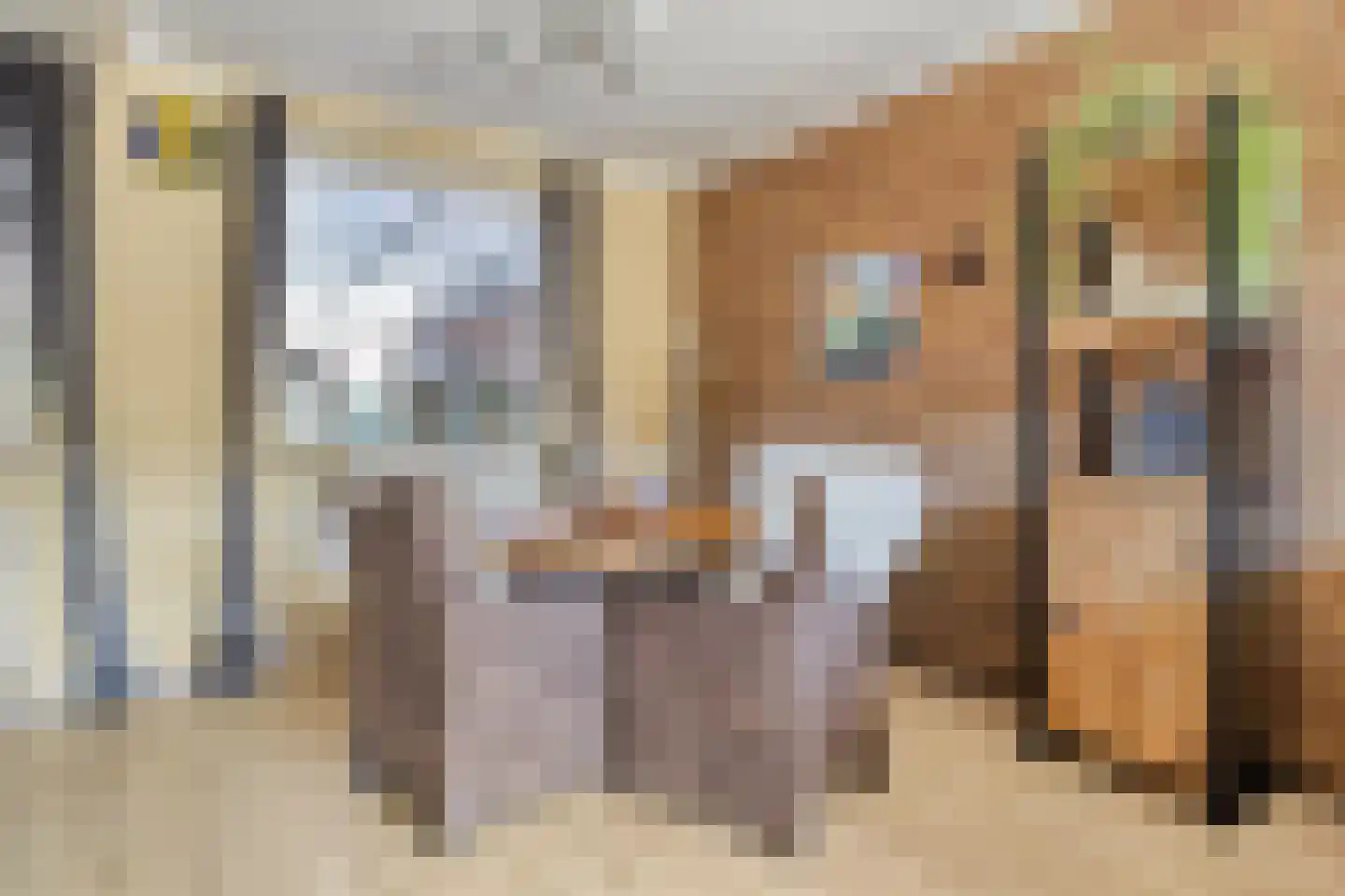 Azaleastraat 12 Sappemeer thumbnail 16