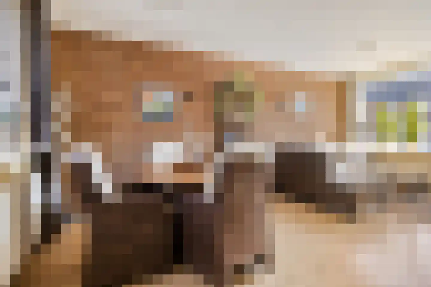 Azaleastraat 12 Sappemeer thumbnail 17