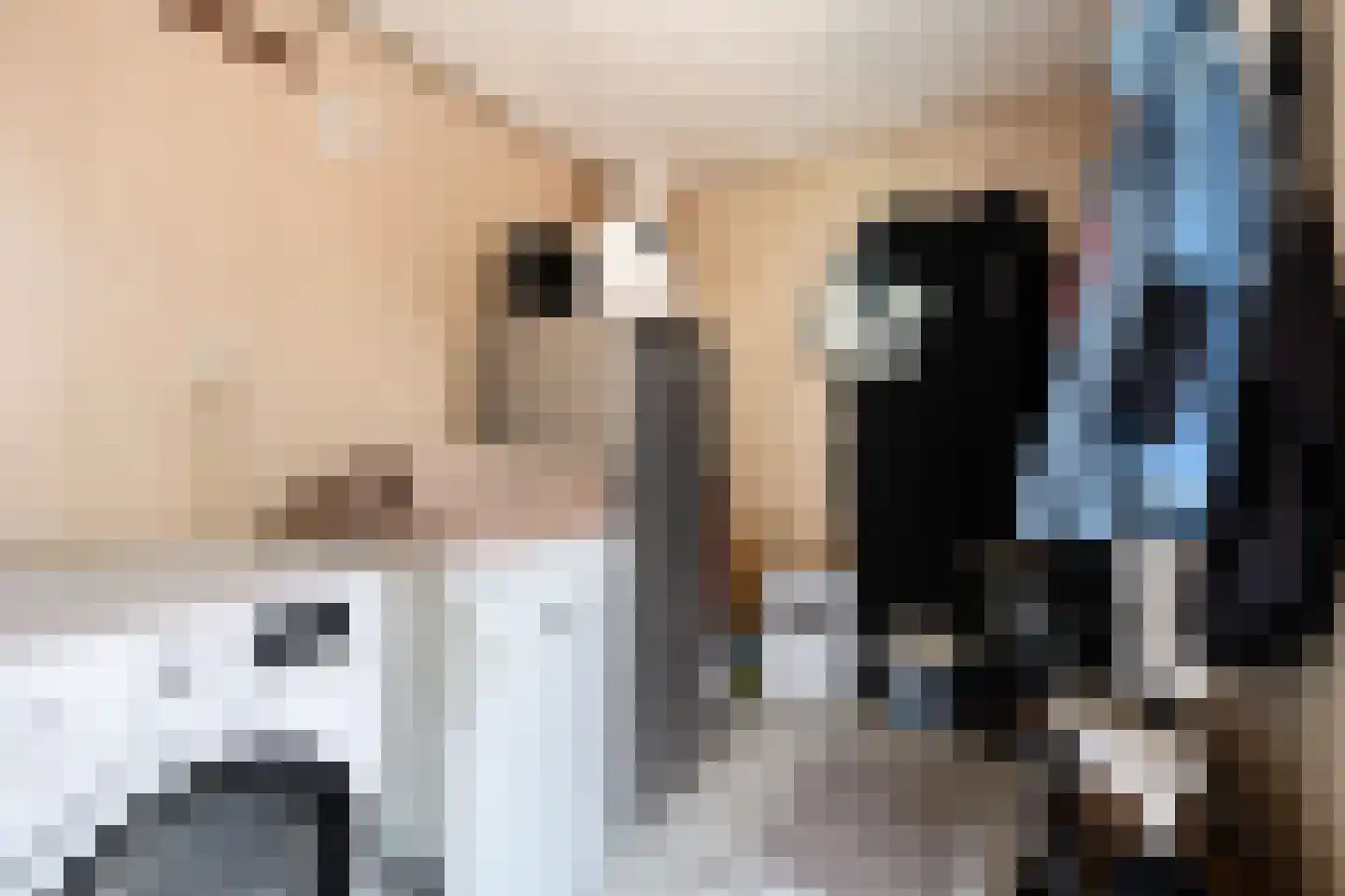Azaleastraat 12 Sappemeer thumbnail 21