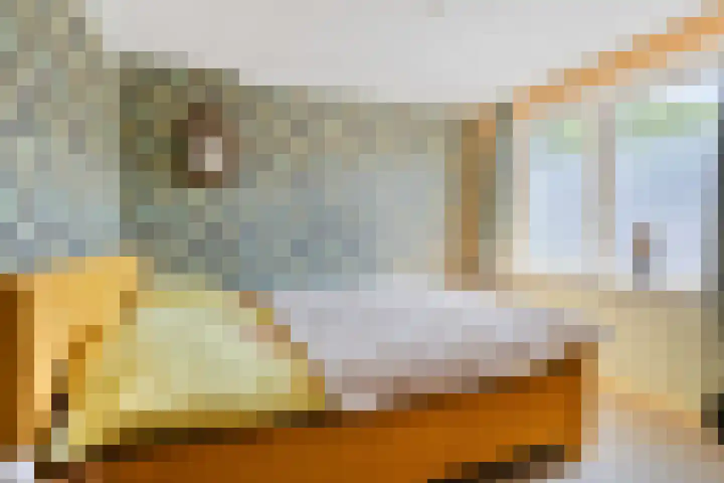 Azaleastraat 12 Sappemeer thumbnail 23