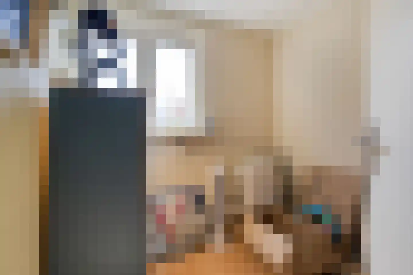 Azaleastraat 12 Sappemeer thumbnail 28