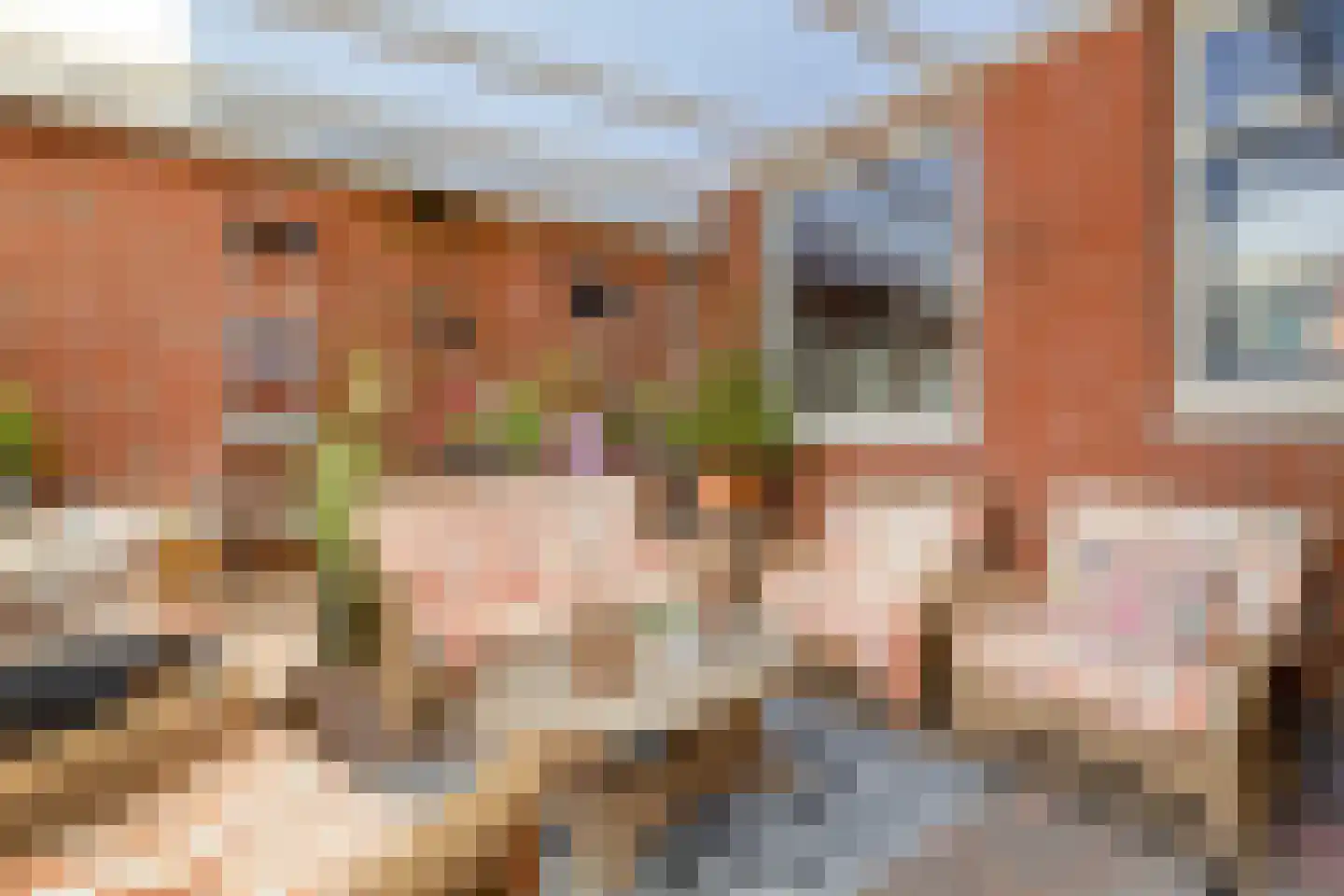 Azaleastraat 12 Sappemeer thumbnail 32