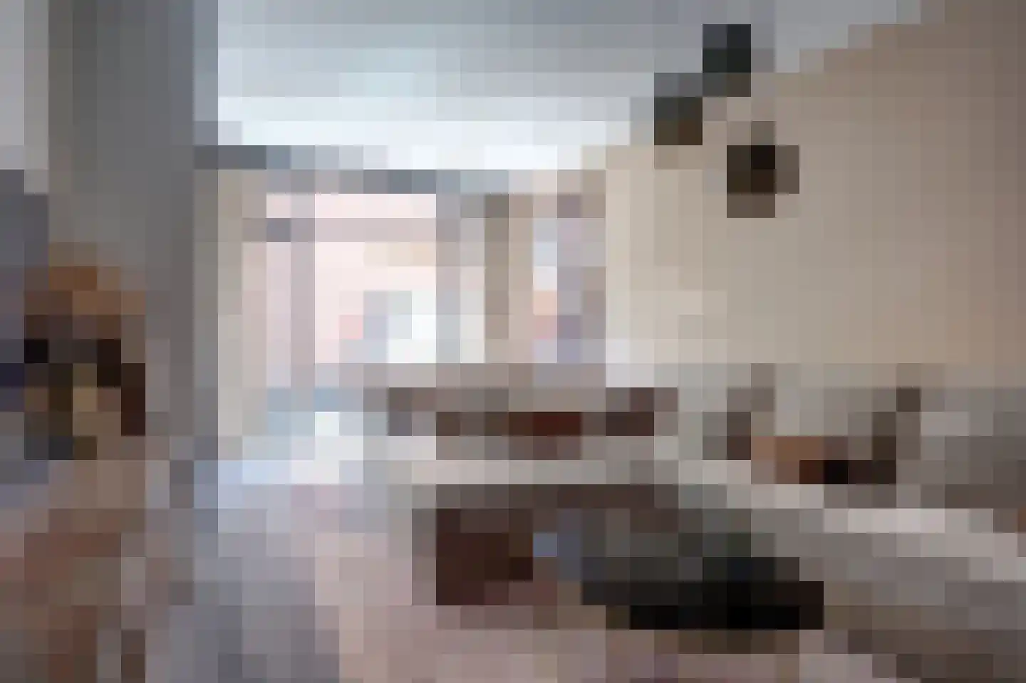 Azaleastraat 14 B Rotterdam thumbnail 6