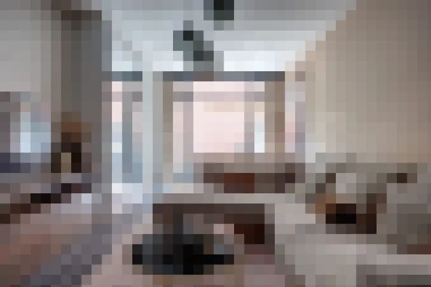 Azaleastraat 14 B Rotterdam thumbnail 8