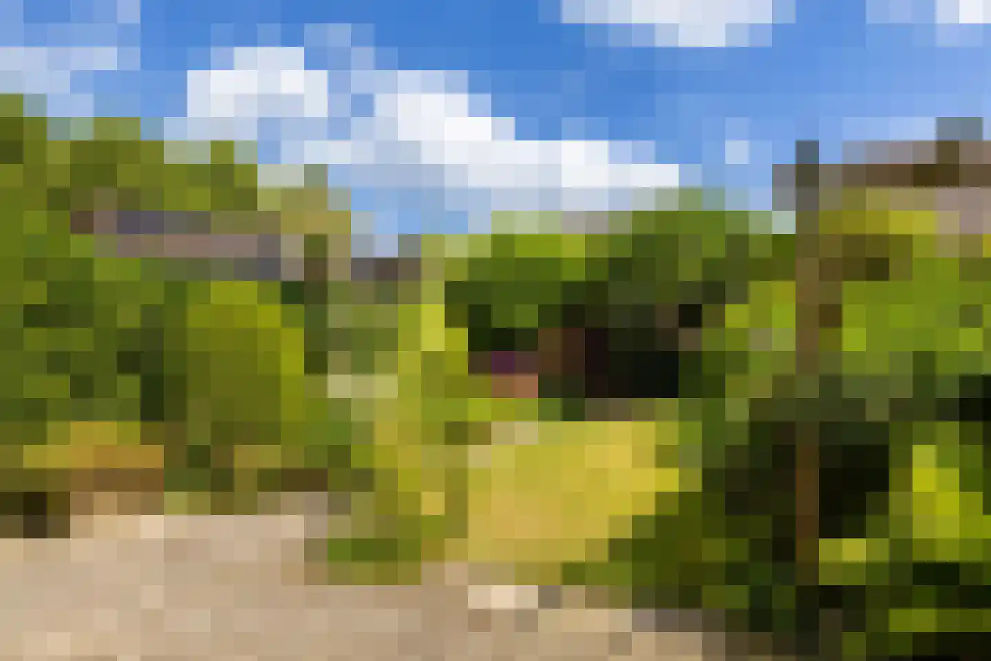Azaleastraat 14 Ederveen thumbnail 23