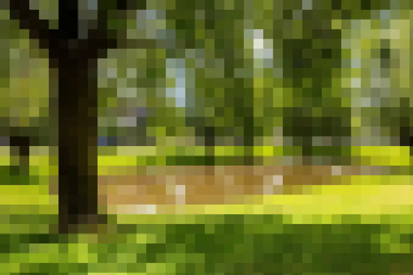 Azaleastraat 14 Ederveen thumbnail 31