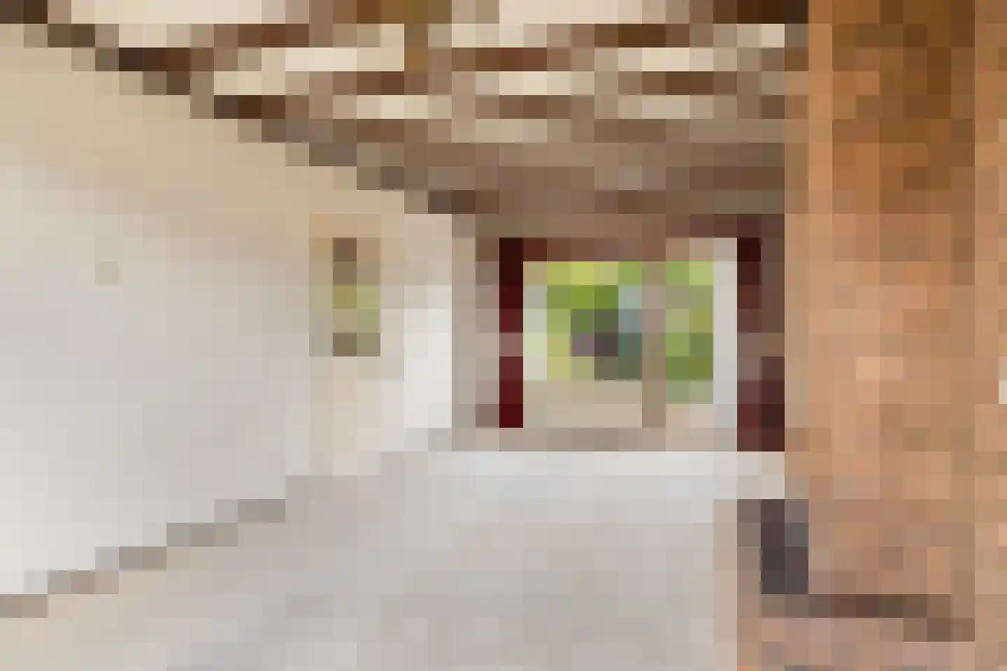 Azaleastraat 14 Ederveen thumbnail 4