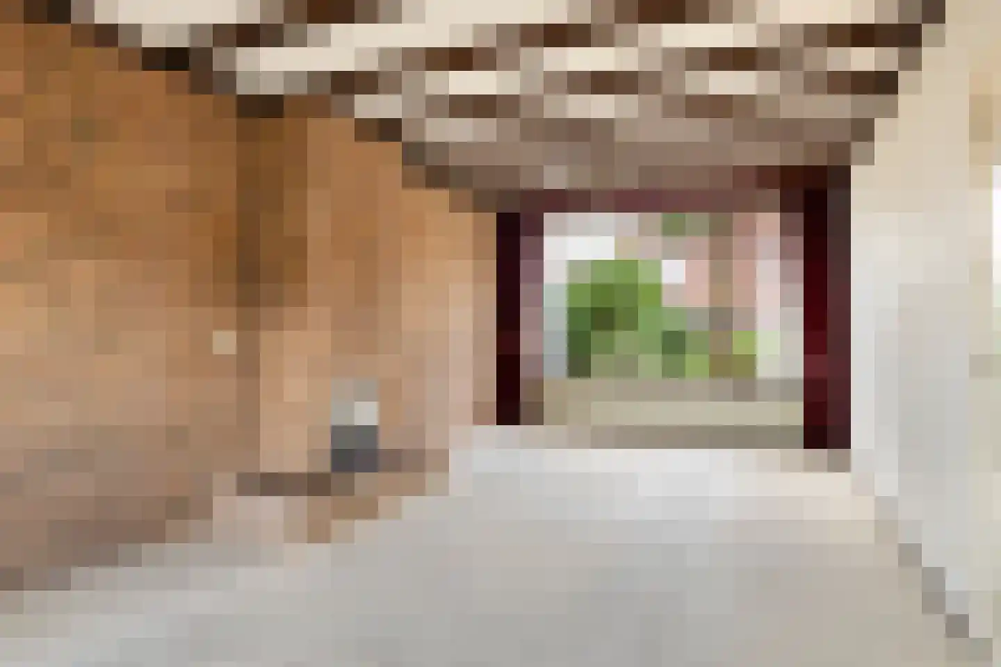 Azaleastraat 14 Ederveen thumbnail 5