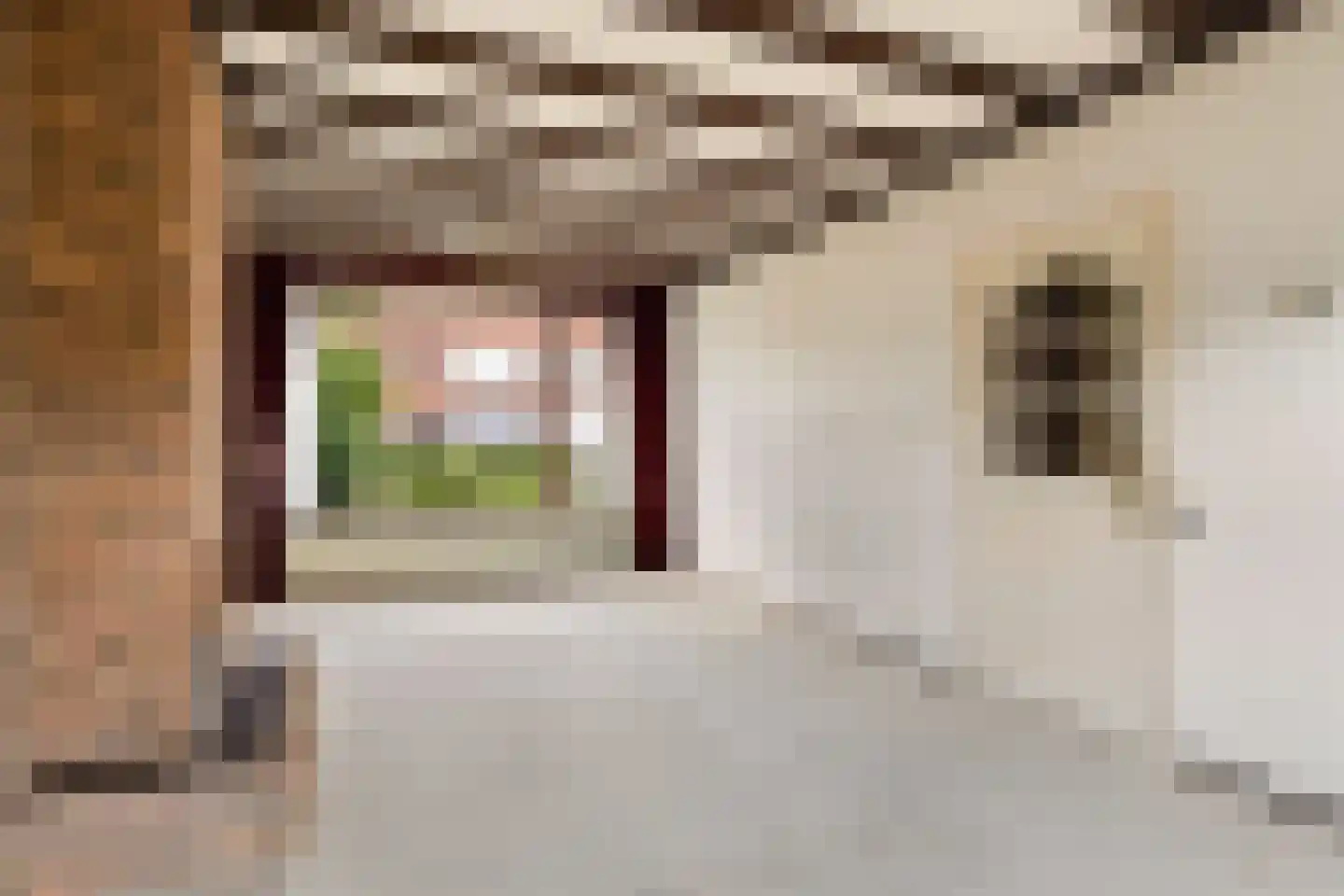 Azaleastraat 14 Ederveen thumbnail 6