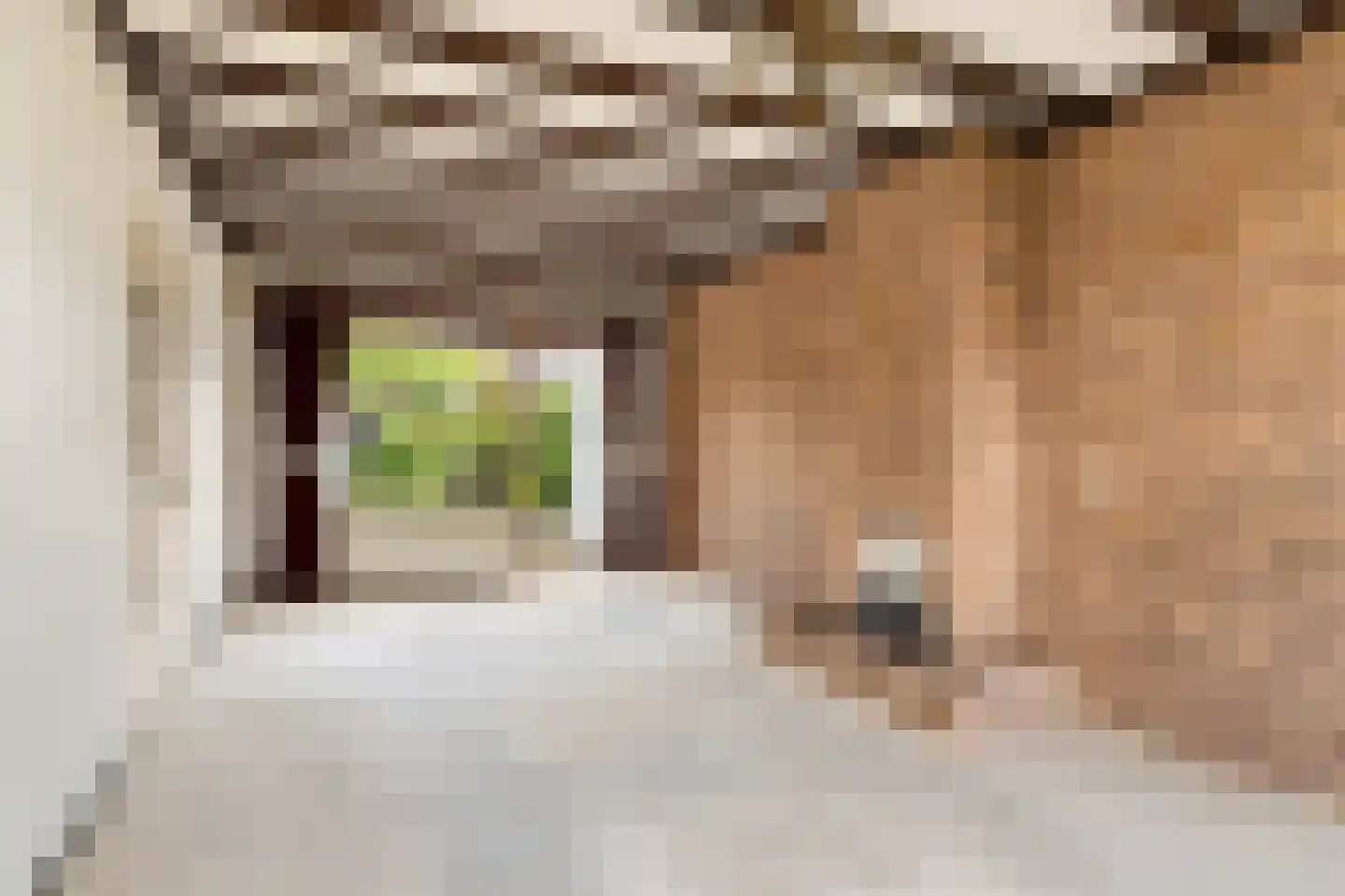 Azaleastraat 14 Ederveen thumbnail 7