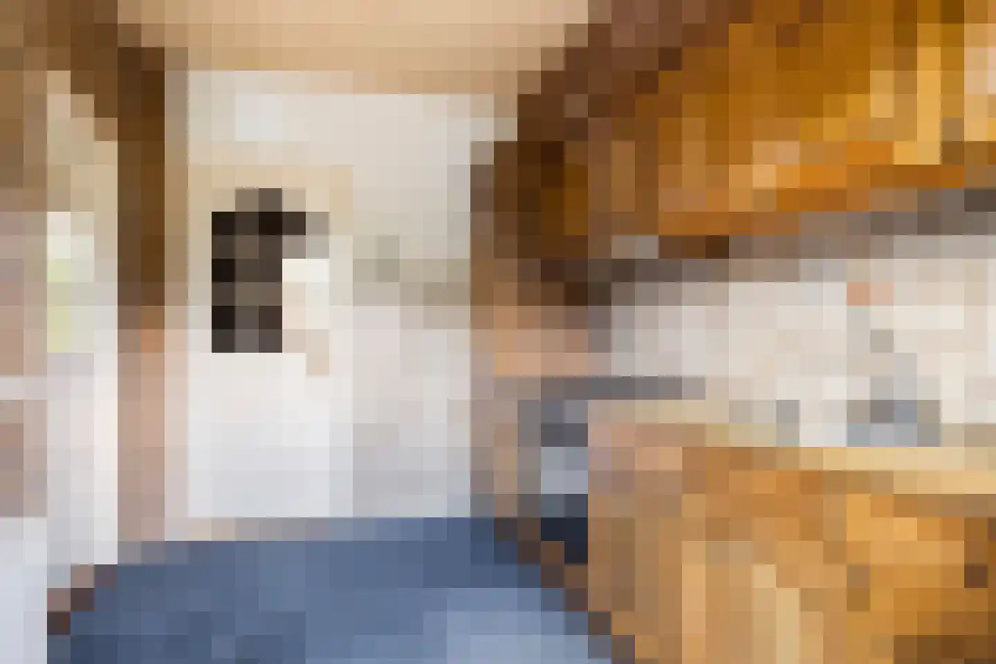 Azaleastraat 14 Ederveen thumbnail 9