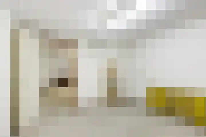 Azaleastraat 14 Hilversum thumbnail 25