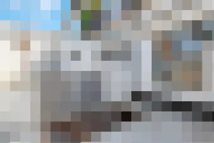 Azaleastraat 14 Hilversum thumbnail 28