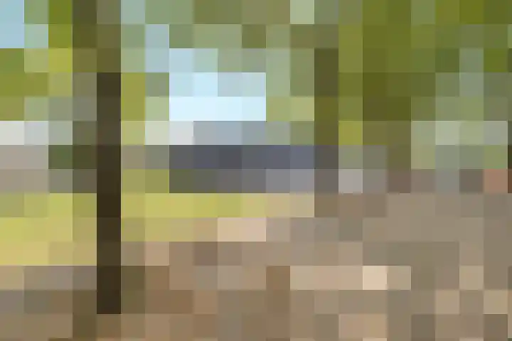 Azaleastraat 14 Hilversum thumbnail 30