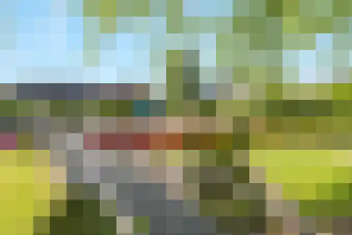 Azaleastraat 14 Hilversum thumbnail 31