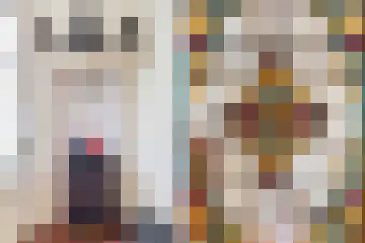 Azaleastraat 14 Hilversum thumbnail 8