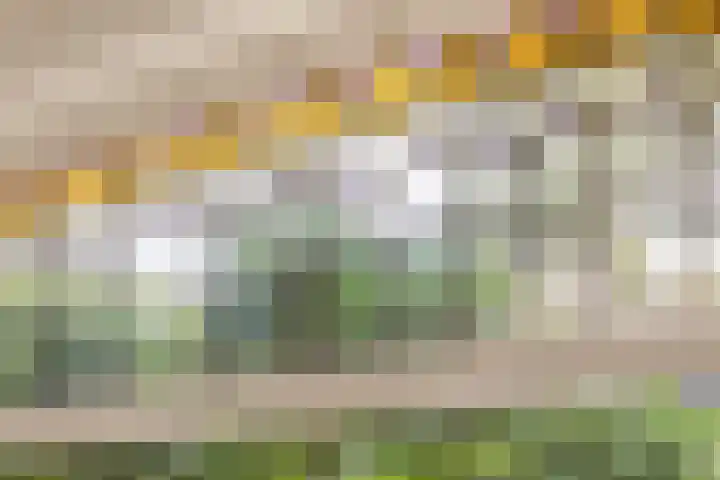 Azaleastraat 14 Hilversum thumbnail 9