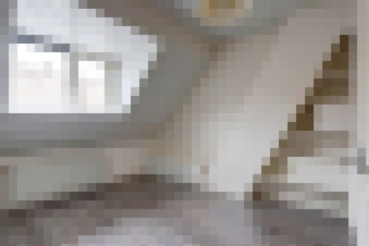 Azaleastraat 15 A Rotterdam thumbnail 17