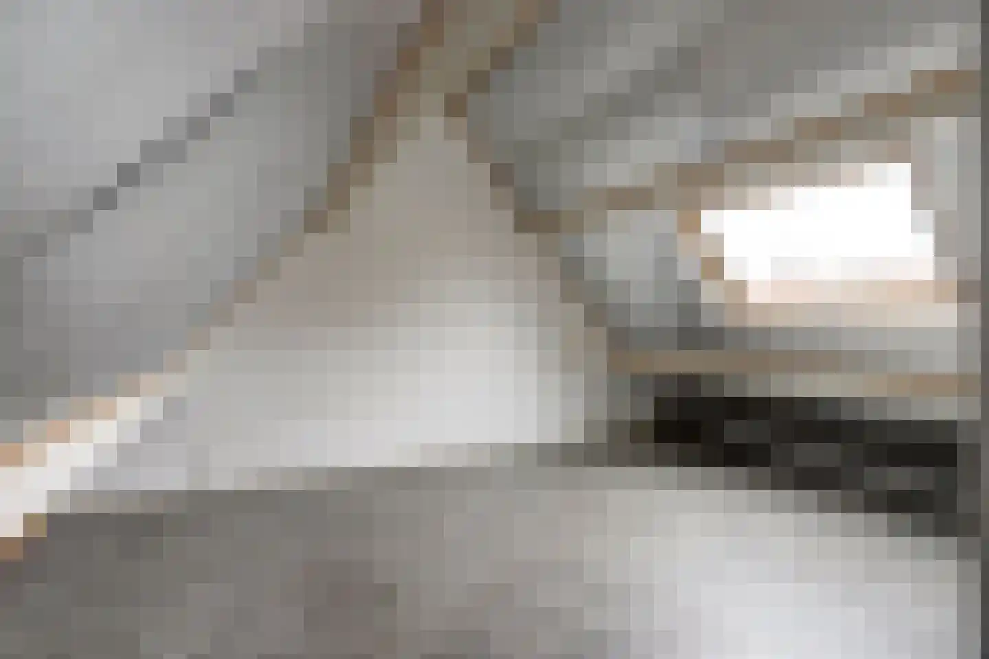 Azaleastraat 15 A Rotterdam thumbnail 22